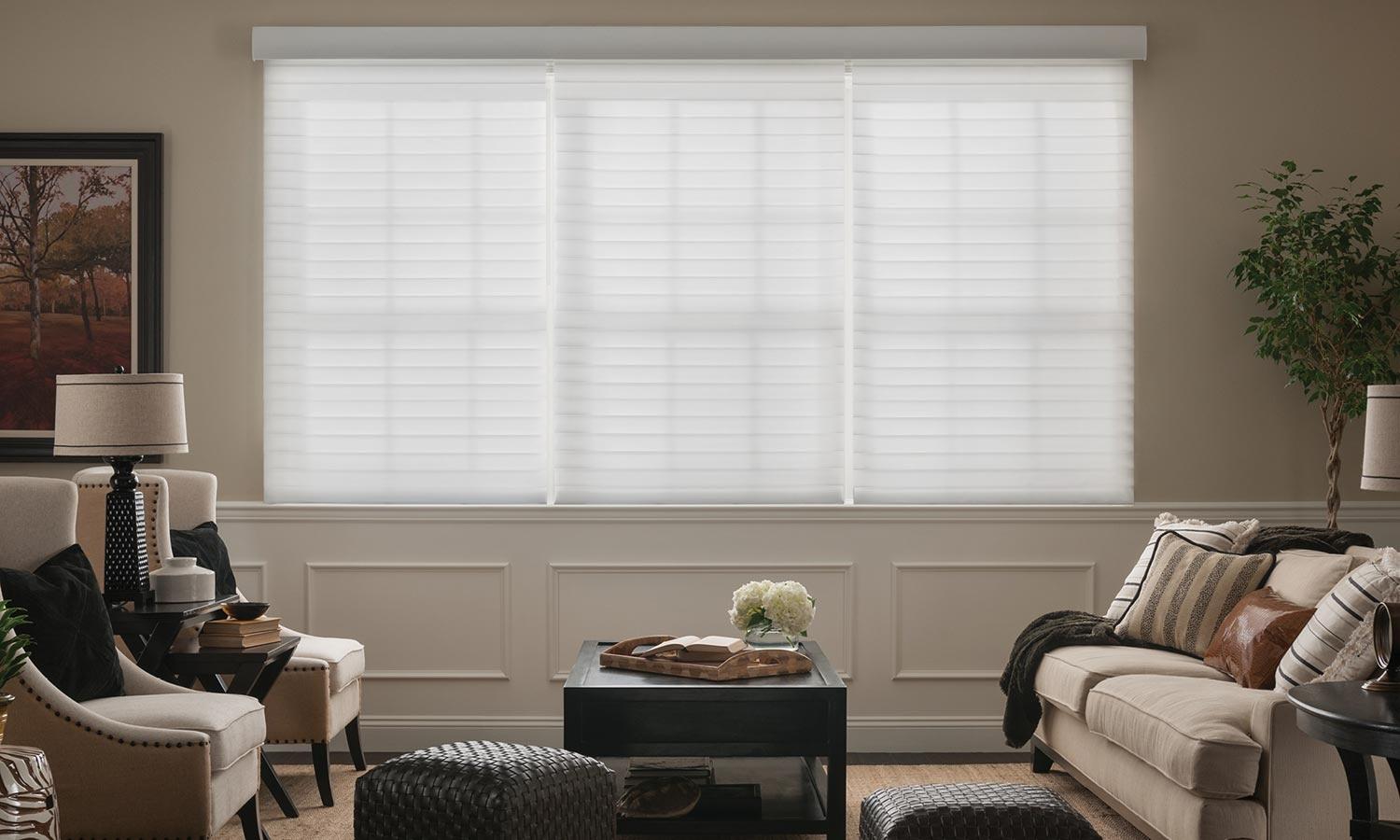 Lutron motorized roman shades